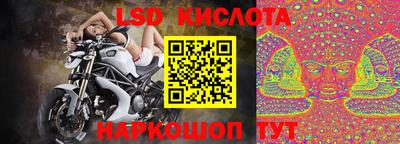 стаф Тула