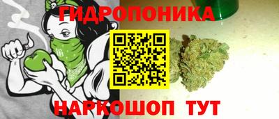стаф Тула
