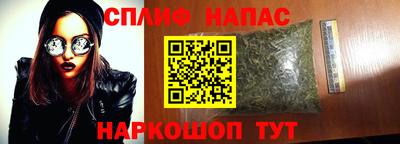 PSILOCYBIN Туймазы