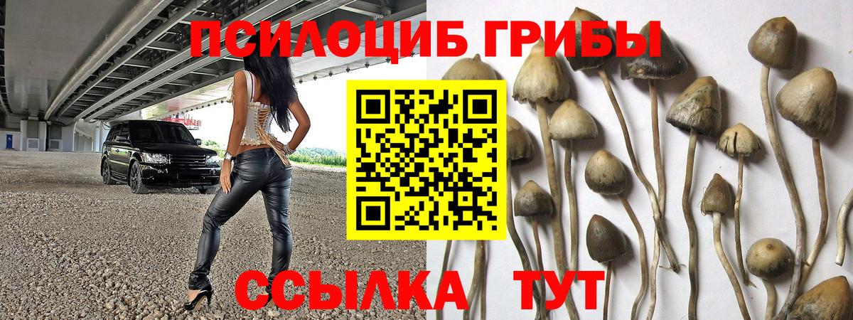 Галлюциногенные грибы MAGIC MUSHROOMS  Вход с VPN  Нефтекамск 