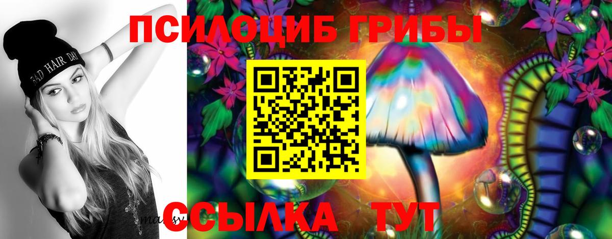 Псилоцибиновые грибы Cubensis Нефтекамск